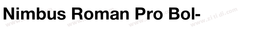 Nimbus Roman Pro Bol字体转换 Nimbus Roman Pro Bol字体转换